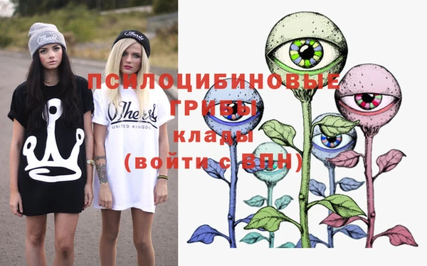 гидра Калининец