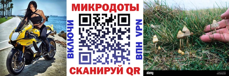 Псилоцибиновые грибы Psilocybine cubensis  Купить закладки  Железноводск 